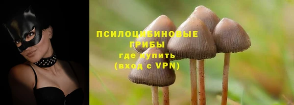 a pvp Арсеньев