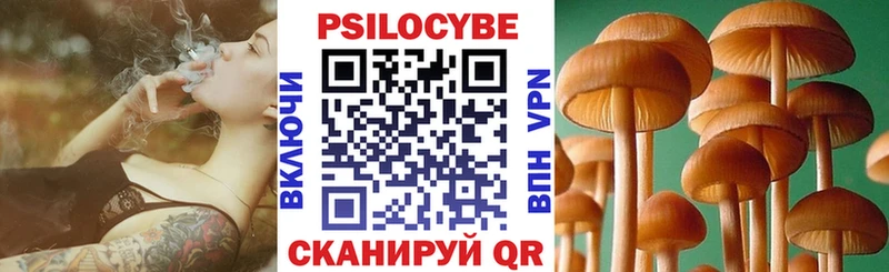 Псилоцибиновые грибы мухоморы  купить наркоту  даркнет состав  Верхняя Пышма  гидра ONION 